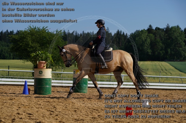 s_K3F05498.JPG